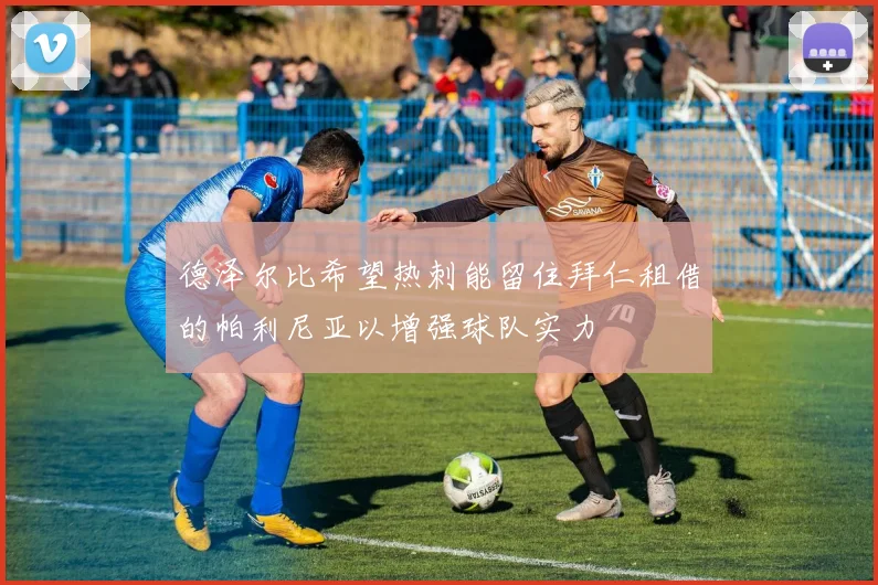 德泽尔比希望热刺能留住拜仁租借的帕利尼亚以增强球队实力