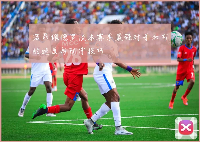 若昂佩德罗谈本赛季最强对手加布的速度与防守技巧