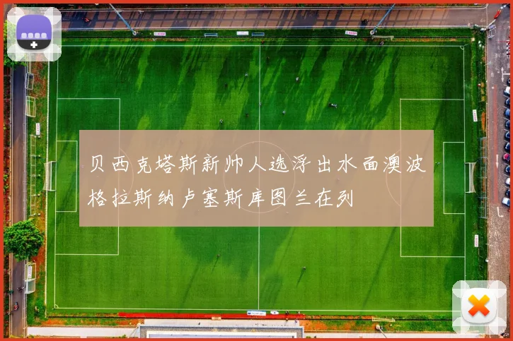 贝西克塔斯新帅人选浮出水面澳波格拉斯纳卢塞斯库图兰在列