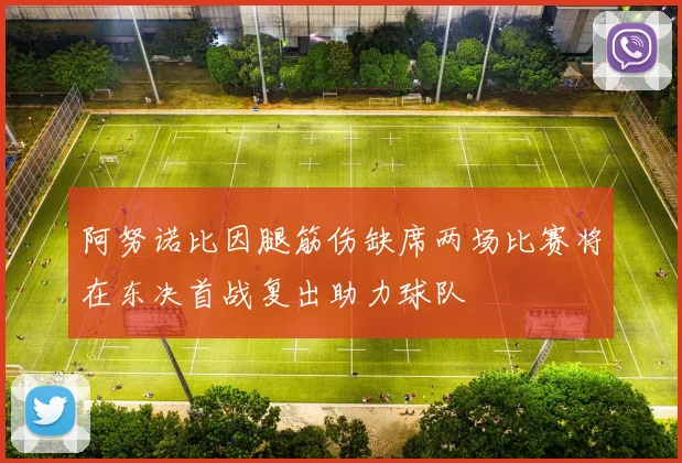 阿努诺比因腿筋伤缺席两场比赛将在东决首战复出助力球队