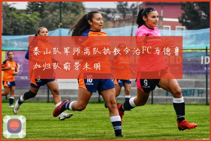 泰山队军师离队执教今治FC马德鲁加归队前景未明
